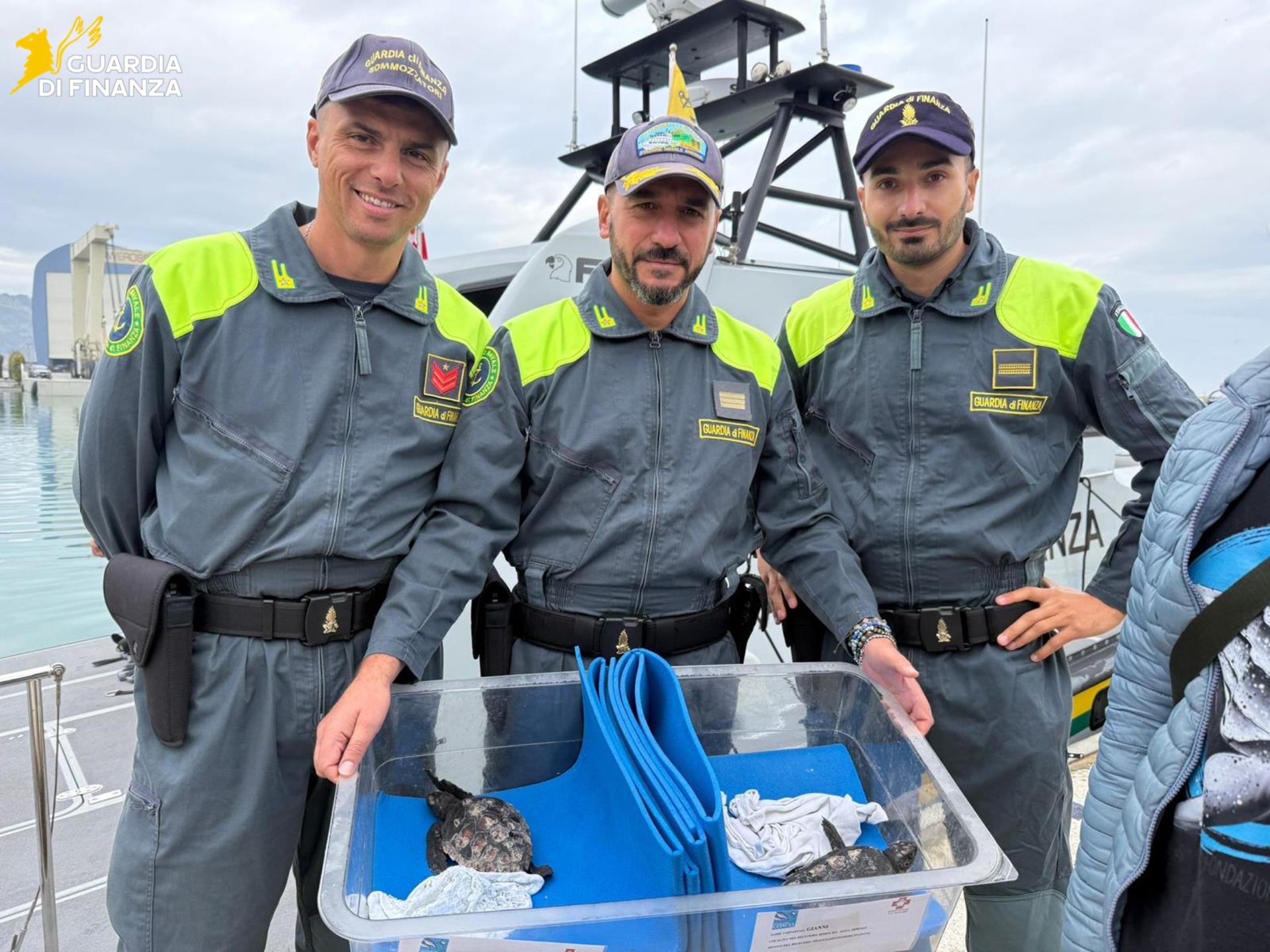 Pesaro - Tre tartarughe tornano in mare grazie alla Guardia di Finanza